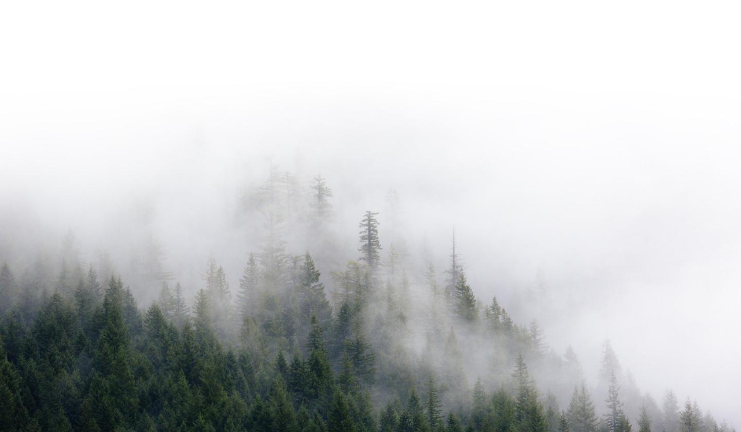 image-alt